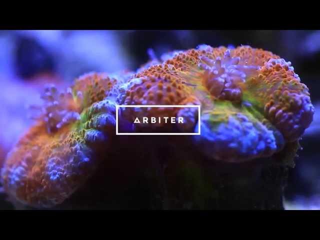 BARBOSA NANO REEF AQUARIUM PROJECT