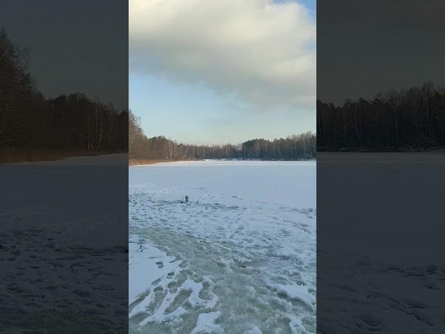 Зимняя рыбалка #зимняярыбалка #рыбалка #нарыбалке