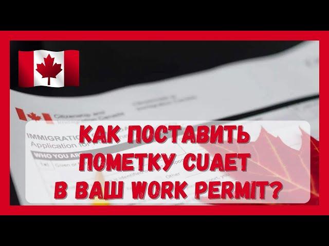 Как поставить пометку CUAET в ваш Work Permit? #канада #виза #cuaet