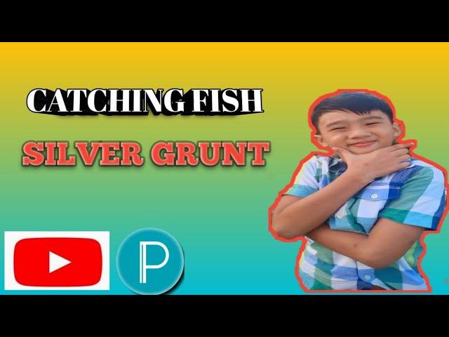 CATCHING FISH BAKOKO  (SILVER GRUNT) USING WHEAT FLOUR BAIT (Kinaray.a)