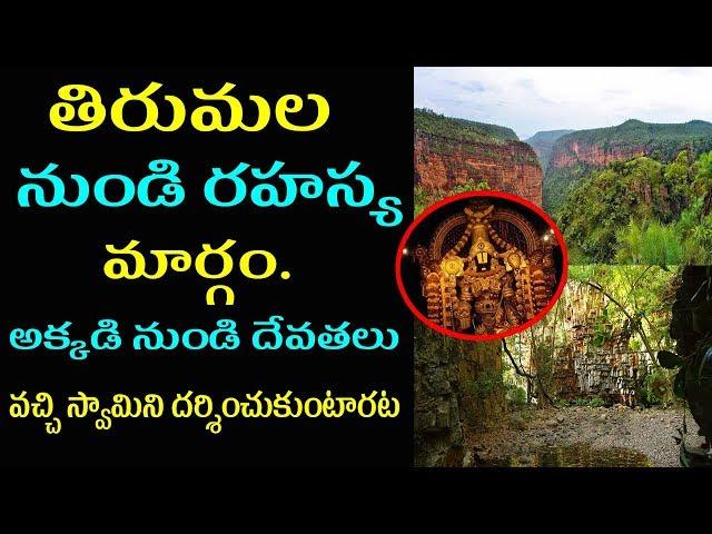 Tirumala Tirupathi Inside Story | Unknown Facts in Telugu