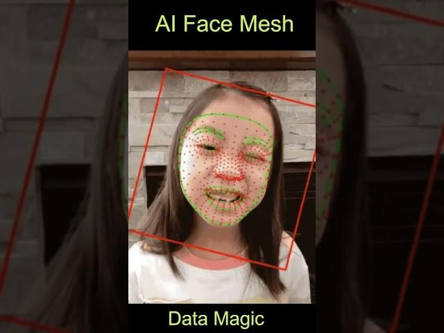 AI Face Mesh | Machine Learning | Data Magic