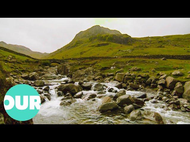 The Breathtaking Borrowdale Valley & The Ancient Rainforest | Our World
