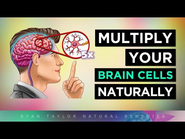 12 Ways To MULTIPLY Your BRAIN CELLS