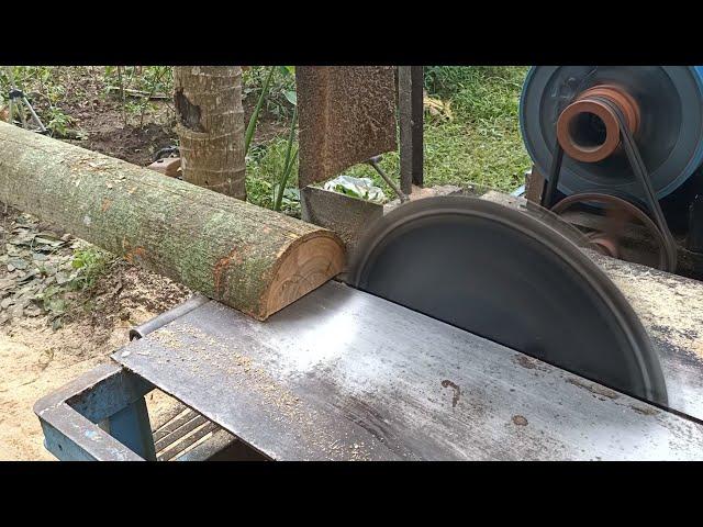 operator the process of sawing waru Wood using a serkel machine is fast and accurate by a profesiona