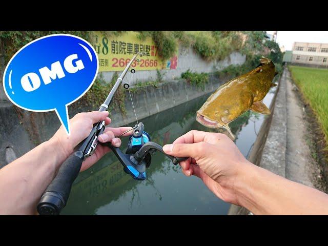 Câu Cá Ở Mương Đài Loan Ai Ngờ Gặp Đàn Cá Khủng ( CRAZY CATCH FISH ) - Lạ Vlog