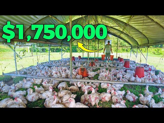 How I Scaled My Chicken Farm to a MILLION Dollar Business