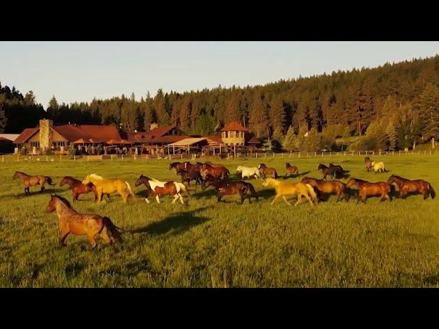 The Resort at Paws Up – Overview