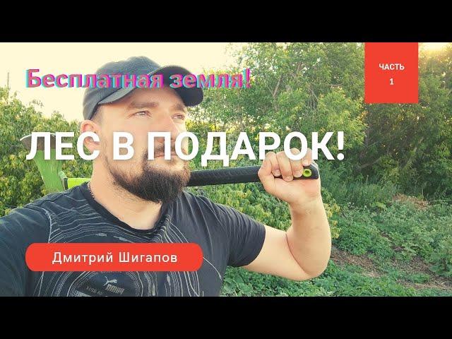 С чего начать строить дом?