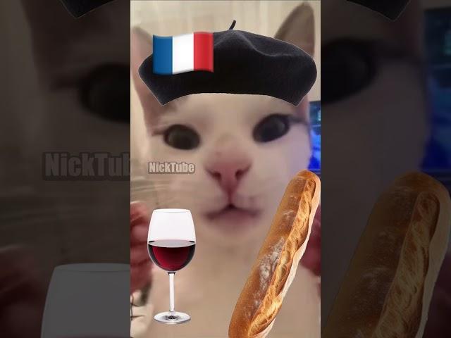 French Cat vs. Italian Cat 