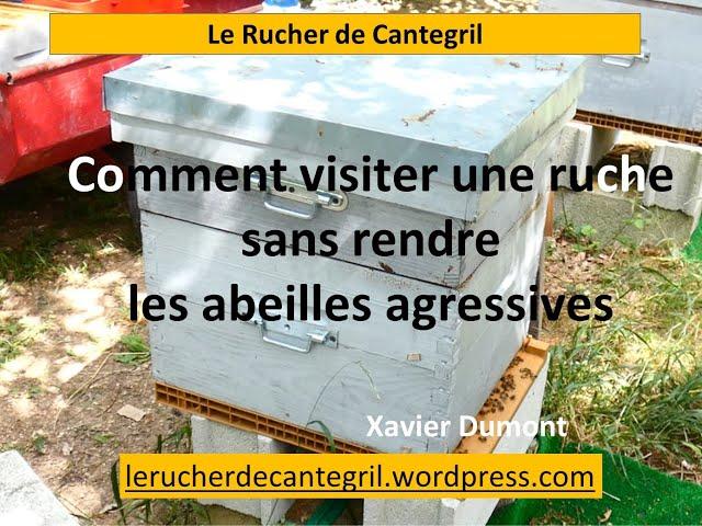 Comment visiter une ruche sans rendre les abeilles agressives