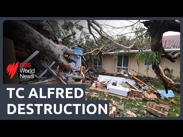 Cyclone Alfred: More than 40,000 without power in Qld as howling winds cause destruction