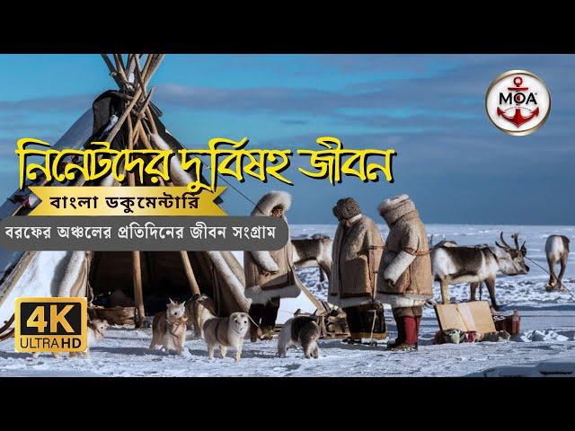 Life of the Nenets Tribe in Siberia bangla Documentary by Mirror of Adventure