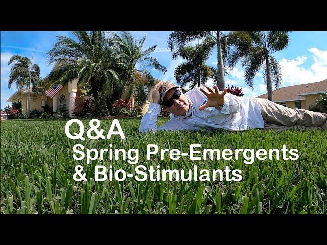 Spring Lawn FAQs: Pre-Emergents and Bio-Stimulants