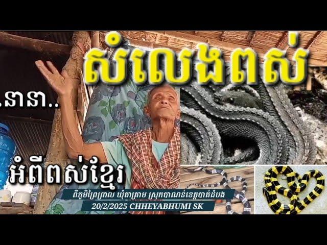 មួយណាជាពស់ក្រាយ ពស់ជា? សំលេងពស់លូន ដូចស្តេចពស់ The King of Snake.សូមប្រាប់ផង 