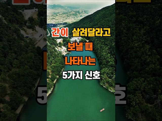 30만뷰 간이 살려달라고 보낼 때 나타나는 5가지 신호 #인생조언 #명언 #좋은글 #지혜