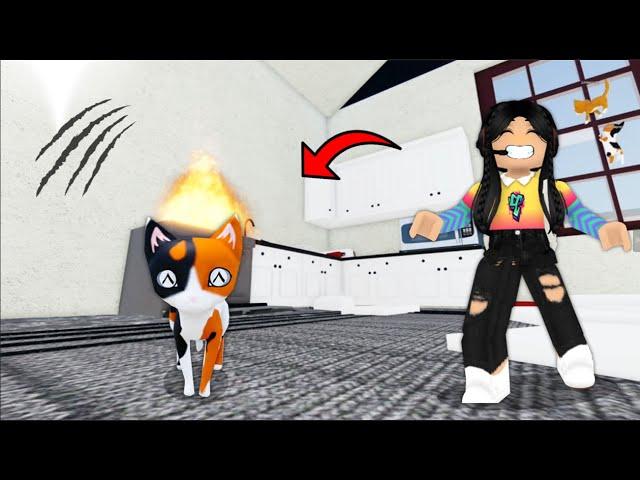 Me CONVIERTO en GATO y quemo la CASA    roblox | paolazgames