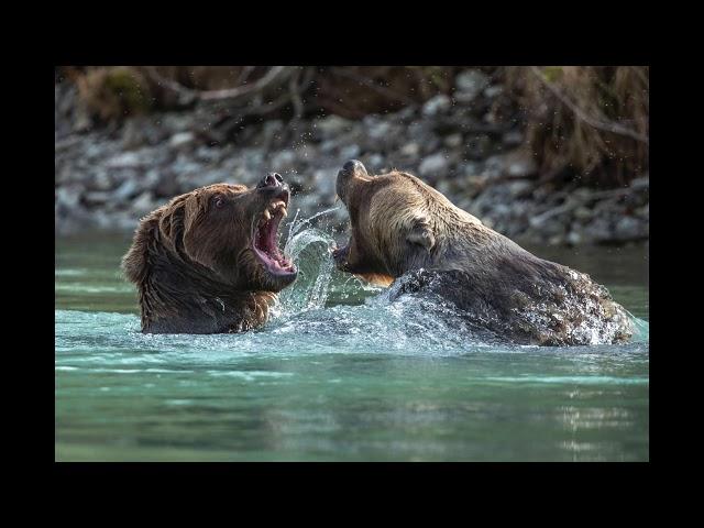 The best Alaska images of the 2018 year from Jeff Schultz photography