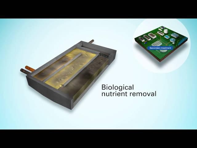 Wastewater treatment