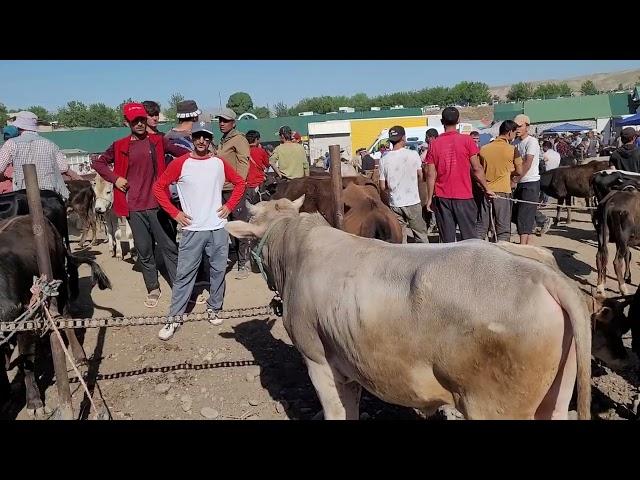 Шанбебозор Н фархор 01. 06 .2024