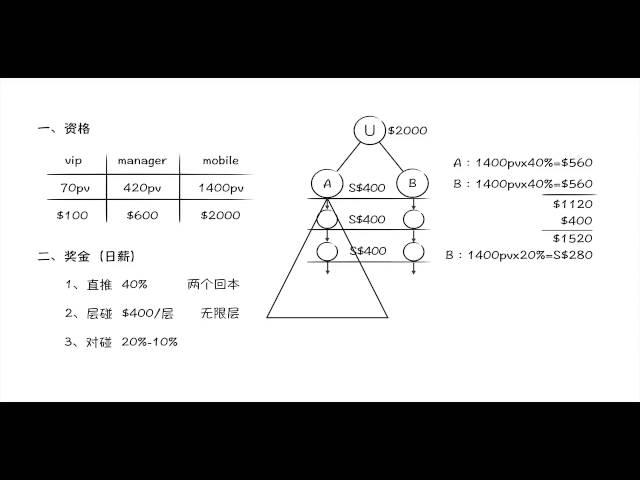 Majuprimus 邁捷普瑞公司制度說明簡單版