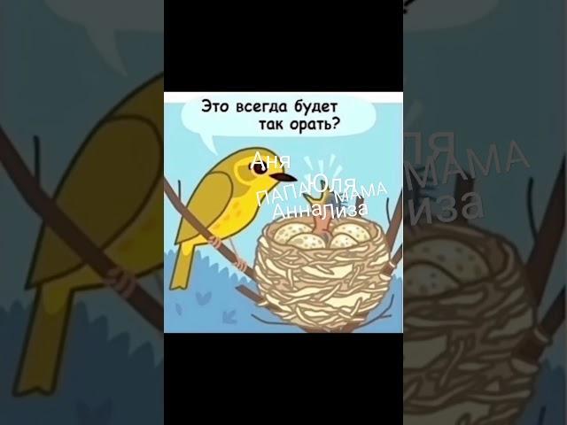 29 мая 2025 г.