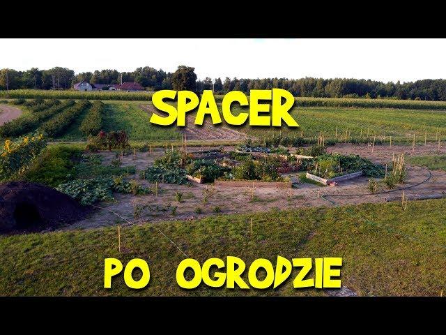 OGRÓD Wiejskich Inspiracji - spacer po ogrodzie, prezentacja roślin