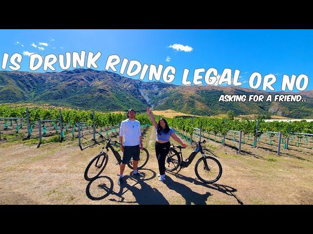 Gibbston Wine Tour On E-Bikes: Exploring New Zealand's Stunning Wine Region!