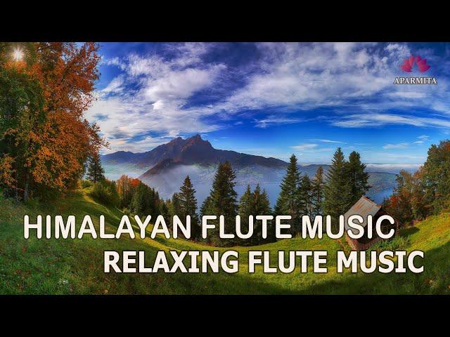 Himalayan Flute Music | Relaxing Music | Solo Flute Music | (बाँसुरी) Aparmita Ep. 138