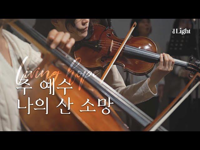 주 예수 나의 산 소망 Living Hope | 더라이트 워십 The Light Worship