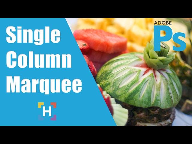 How To Use The Single Column Marquee Tool In Photoshop - HigherLearningLab.com