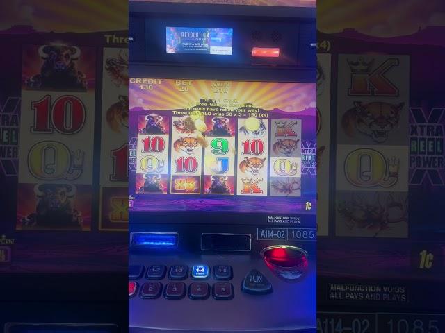 Buffalo Slots 🪙 Bonus Video #buffaloslot #casino #slotmachinebonus