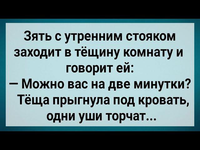 Как Зять с Утренним Стояком Тещу Напугал! Сборник Свежих Анекдотов! Юмор!