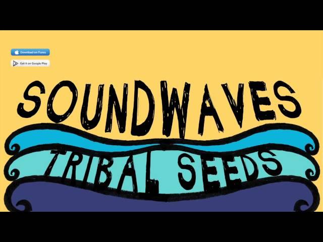 Tribal Seeds - In Your Eyes (Official Audio)