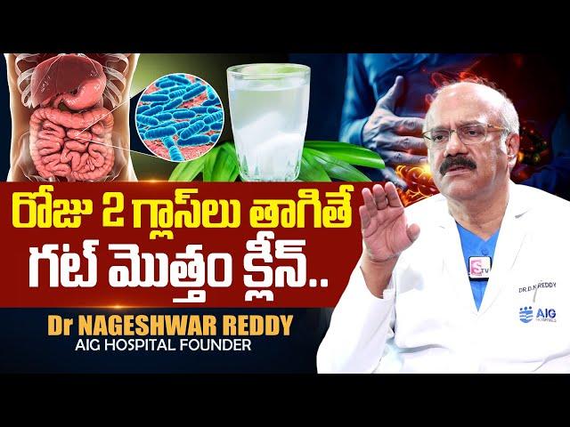 రోజు 2 గ్లాసులు తాగితే మీ గట్ క్లీన్..| Food to Improve Gut Health in Telugu | Dr Nageshwar Reddy