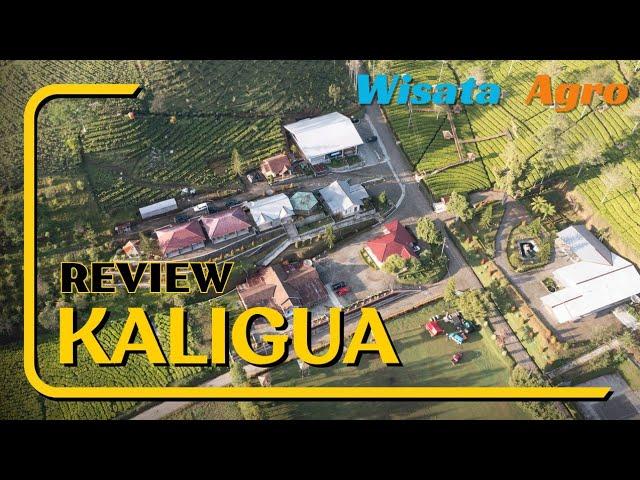 Explore Kaligua || Campervan dan Villa di Tengah Kebun Teh