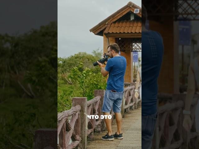12 лет назад я переехал в Таиланд