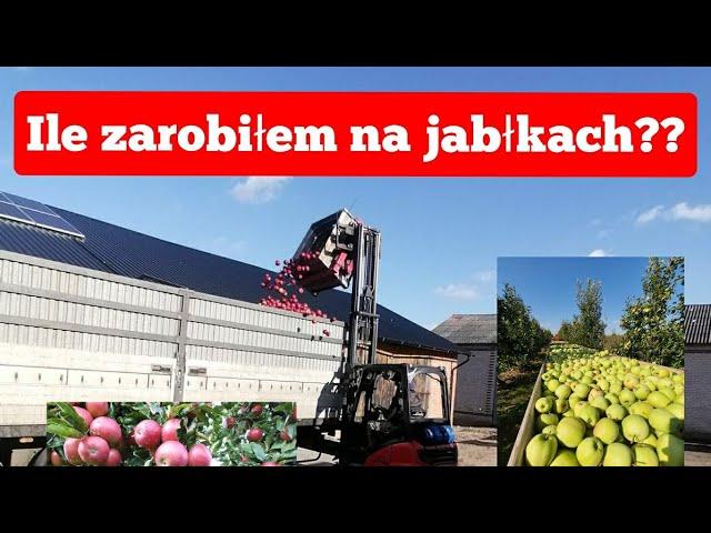 Podsumowanie sezonu jabłkowego 2021...Ile zarobiłem na jabłkach??