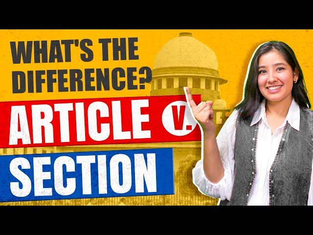 Article vs. Section | What is the Difference?