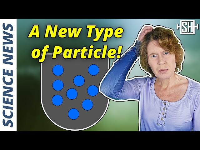 There’s a Third Type of Particle and We Never Knew