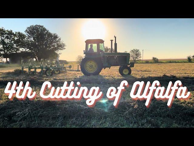 4th Cutting of Alfalfa! RESULTS ARE CRAZY!!