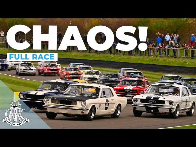 The best kind of chaos | 2024 Ken Miles Cup Full Race | 81MM