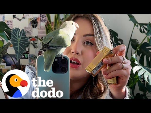 Destructive Lovebird Gets Her Own Dollhouse | The Dodo