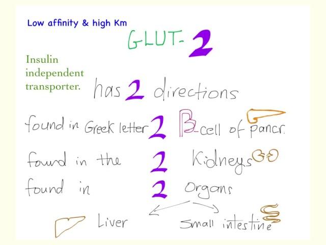 Glucose transporter 2 (GLUT-2) mnemonic