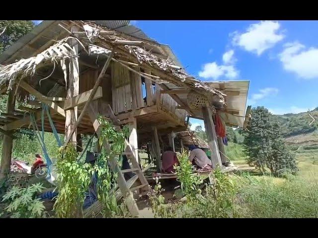 Life in the countryside | Rice | Harvest, Thailand's village lifestyle.