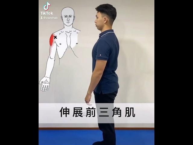緊繃的肩膀讓你很困擾嗎？三角肌出問題可能是其中一個原因試著每天伸展30秒一共5次就可以幫你緩解這個問題有其他問題要諮詢請加官方LINE ID: @872ijtmx