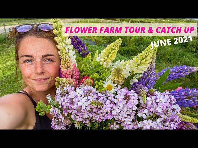 FLOWER FARM TOUR & CATCH UP (JUNE EDITION)