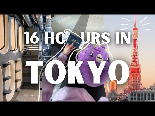 what to do in tokyo for a day  layover edition