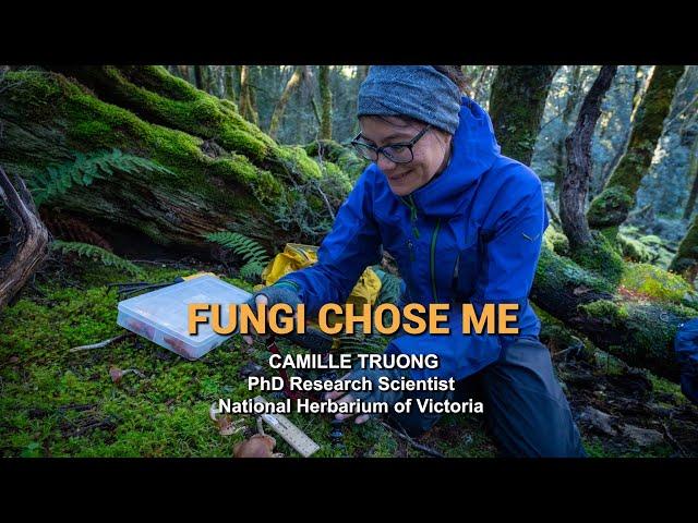 Fungi chose me - Mycologist Camille Truong