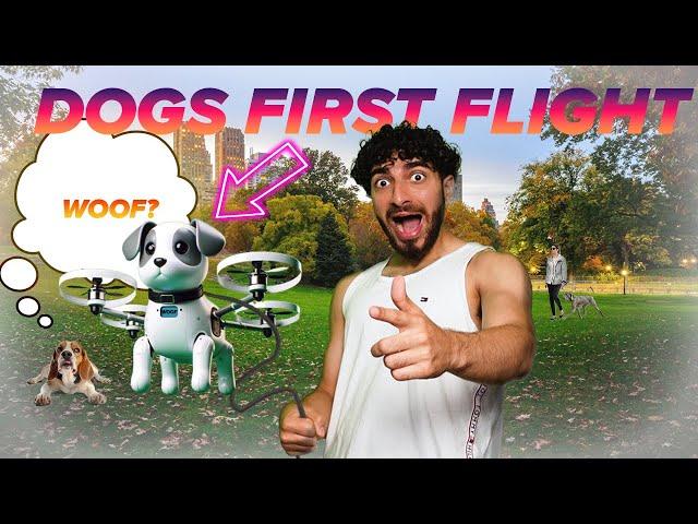 I Built A Dog Drone To Replace My Pet!